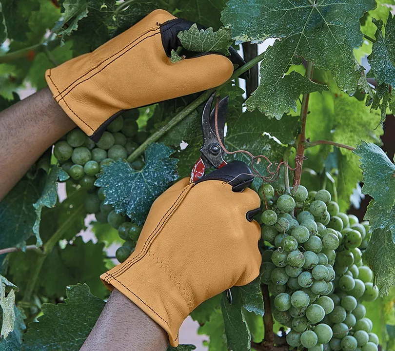 Glove Juba - H210M GARDEN Uso