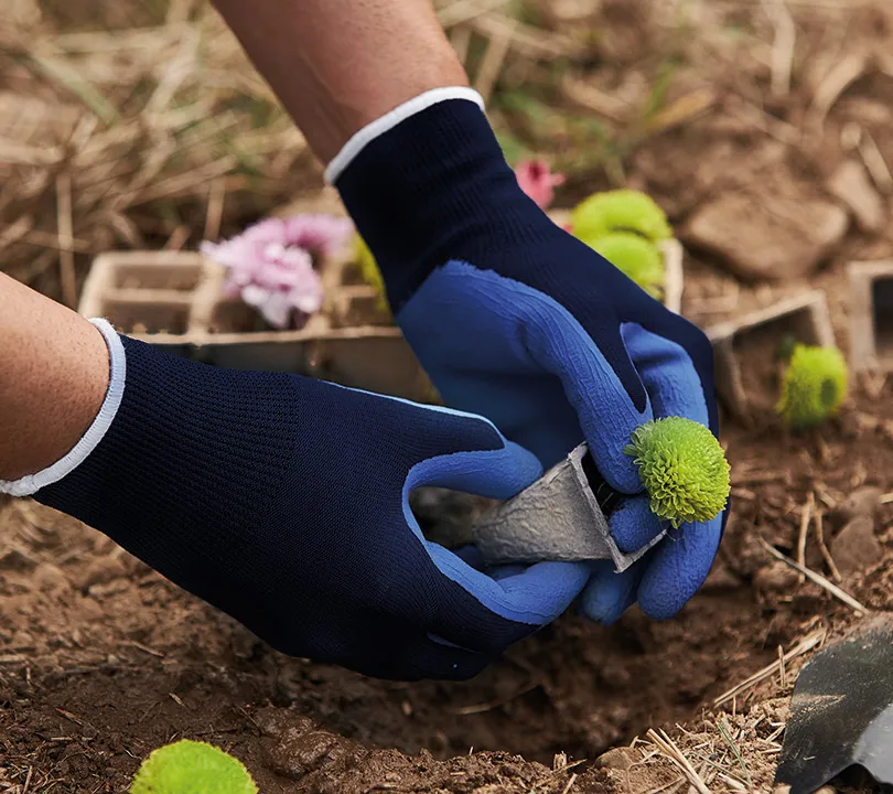 Guantes de látex Juba - H255 GARDEN Uso