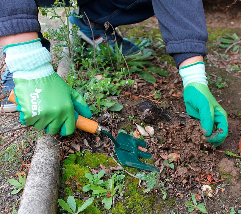 Guantes de nitrilo Juba - H5116FCV GARDEN Uso